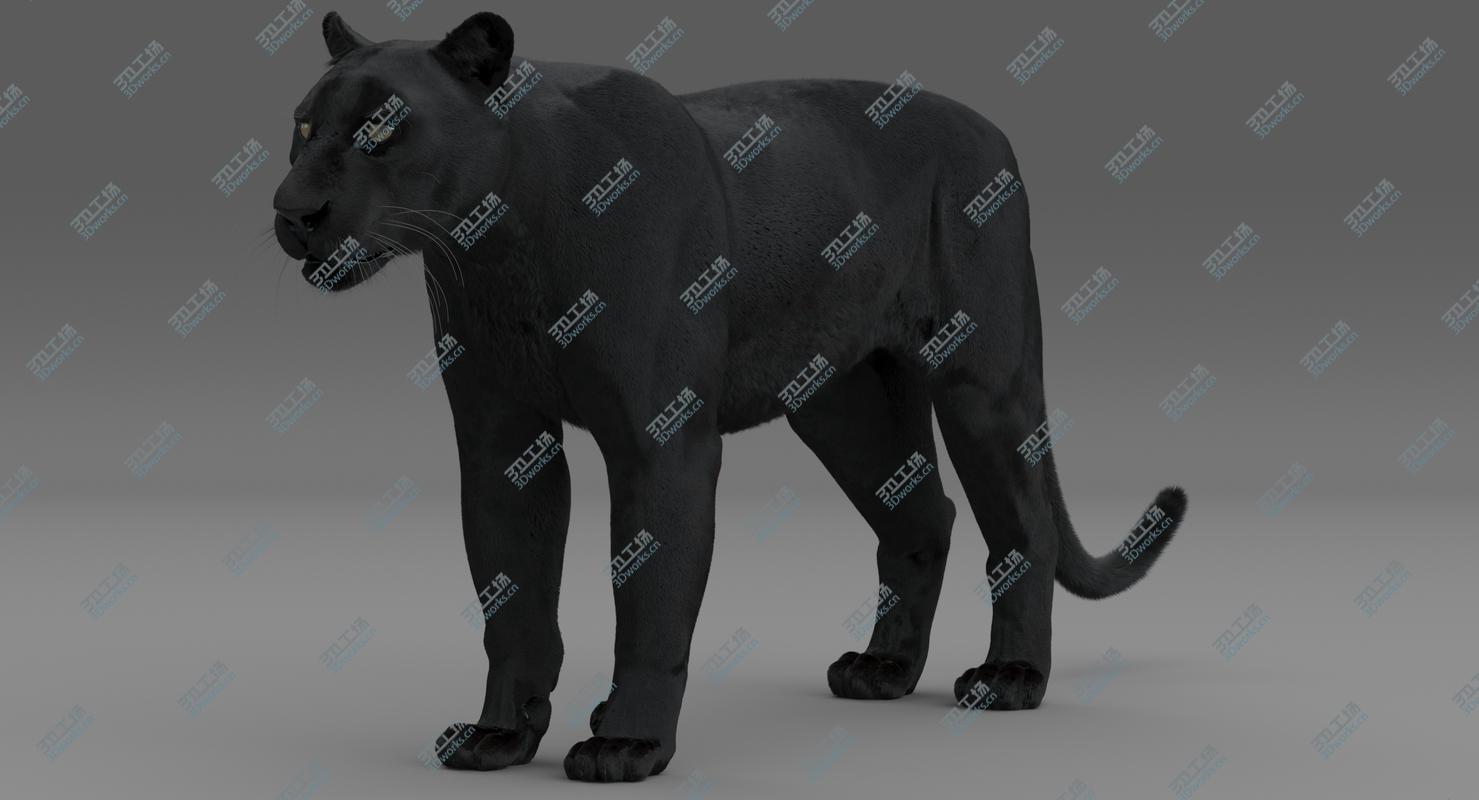 images/goods_img/2021040161/Black Panther (Rigged-Fur) 3D model/4.jpg